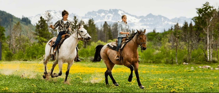 Confident plus-size woman riding Telford a horse through a field with a smile on her face.